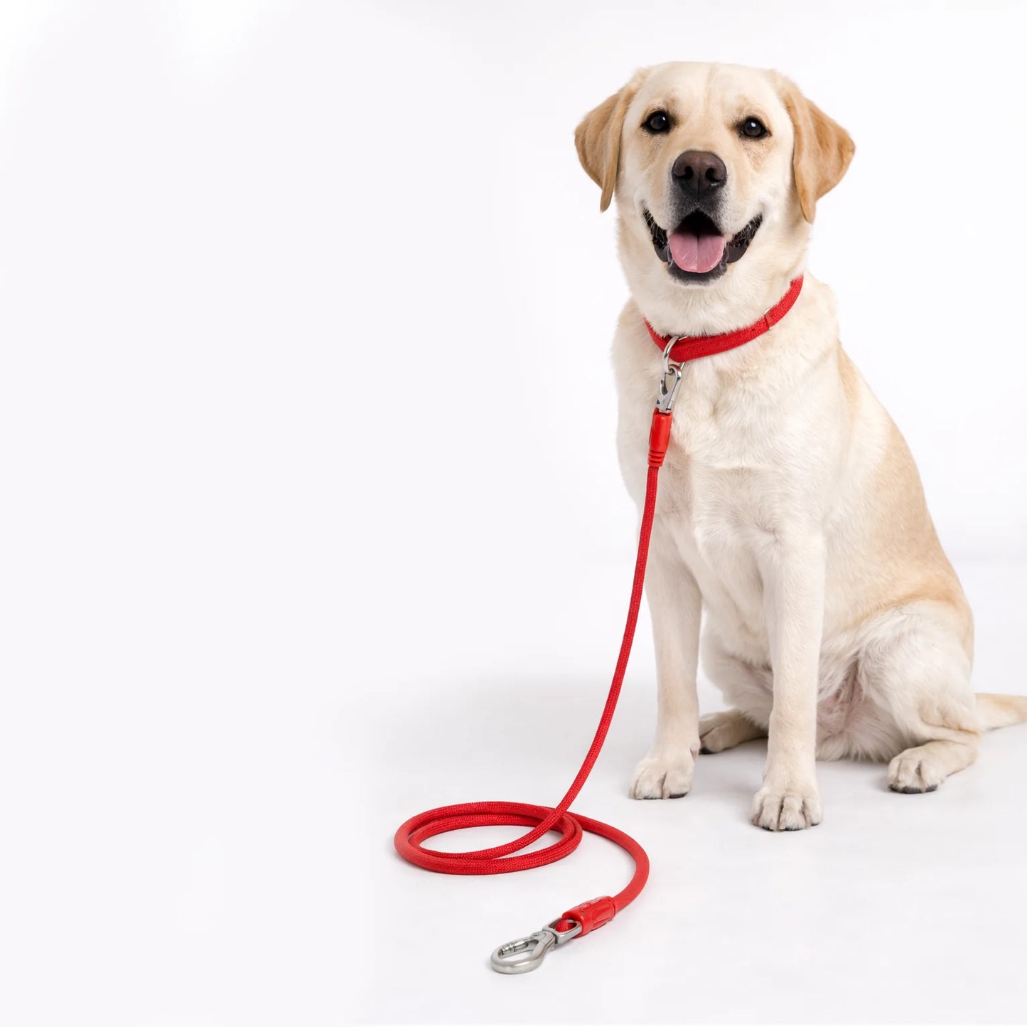 Polypropylene Rope Leash 11mm/180cm