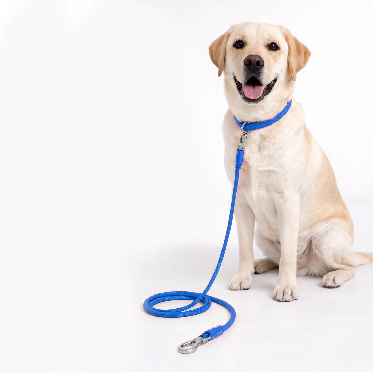 Polypropylene Rope Leash 8mm/150cm