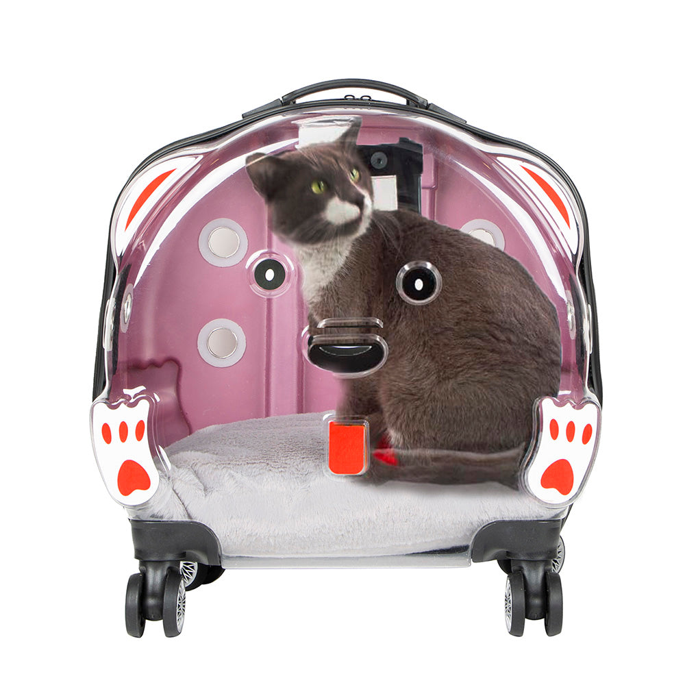 Ice Pet Trolley Suitcase