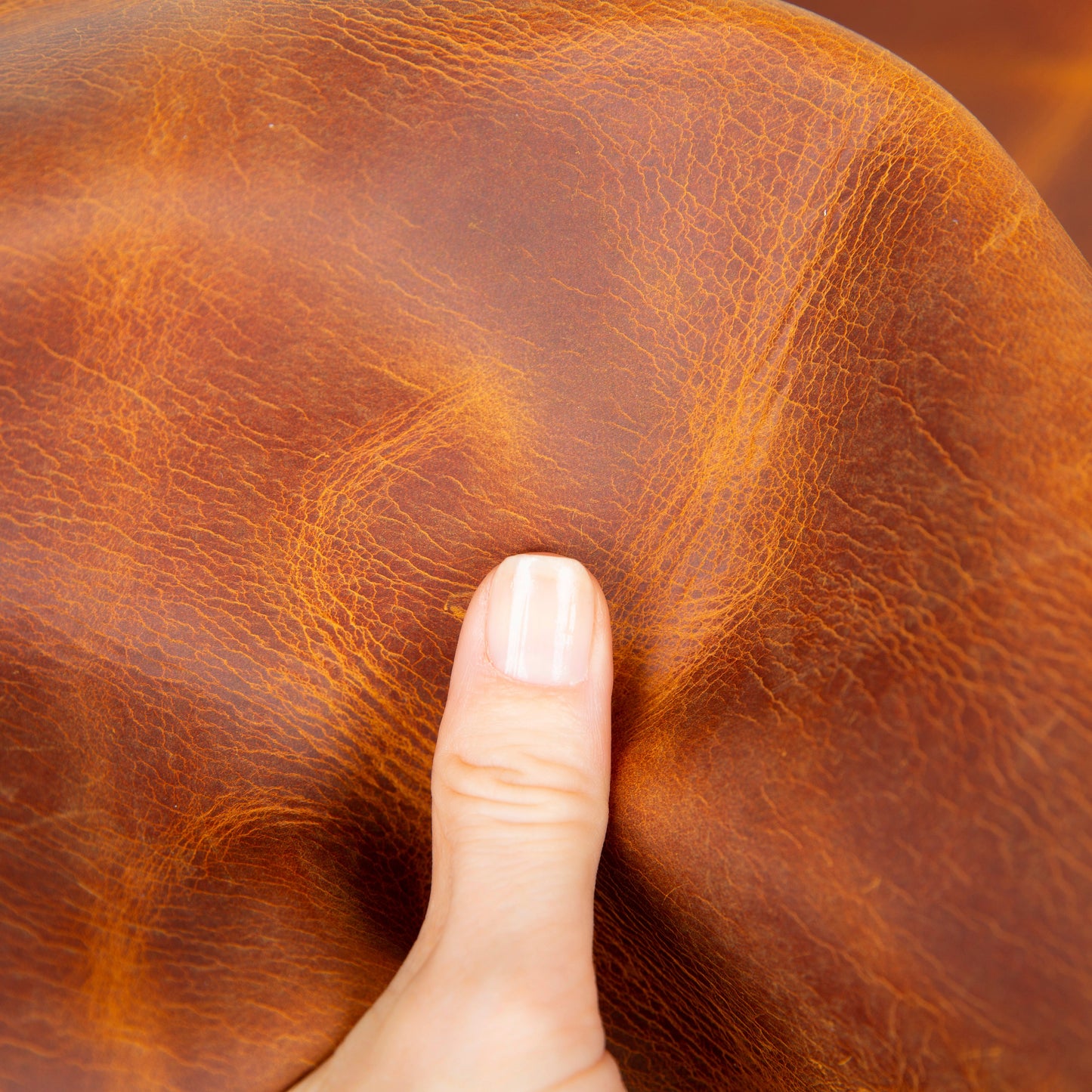 Eterna Leather Journal Cover