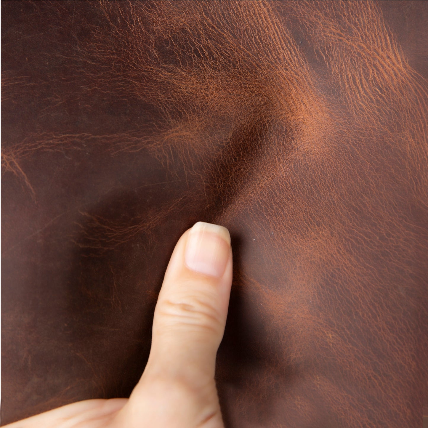 Pier Leather Men's Wallet