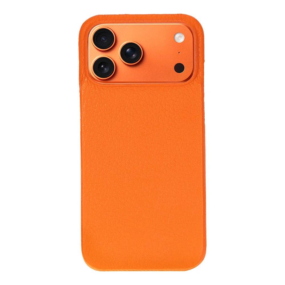 Elite Magic iPhone 18 Pro / 17 Pro Leather Detachable Wallet Case