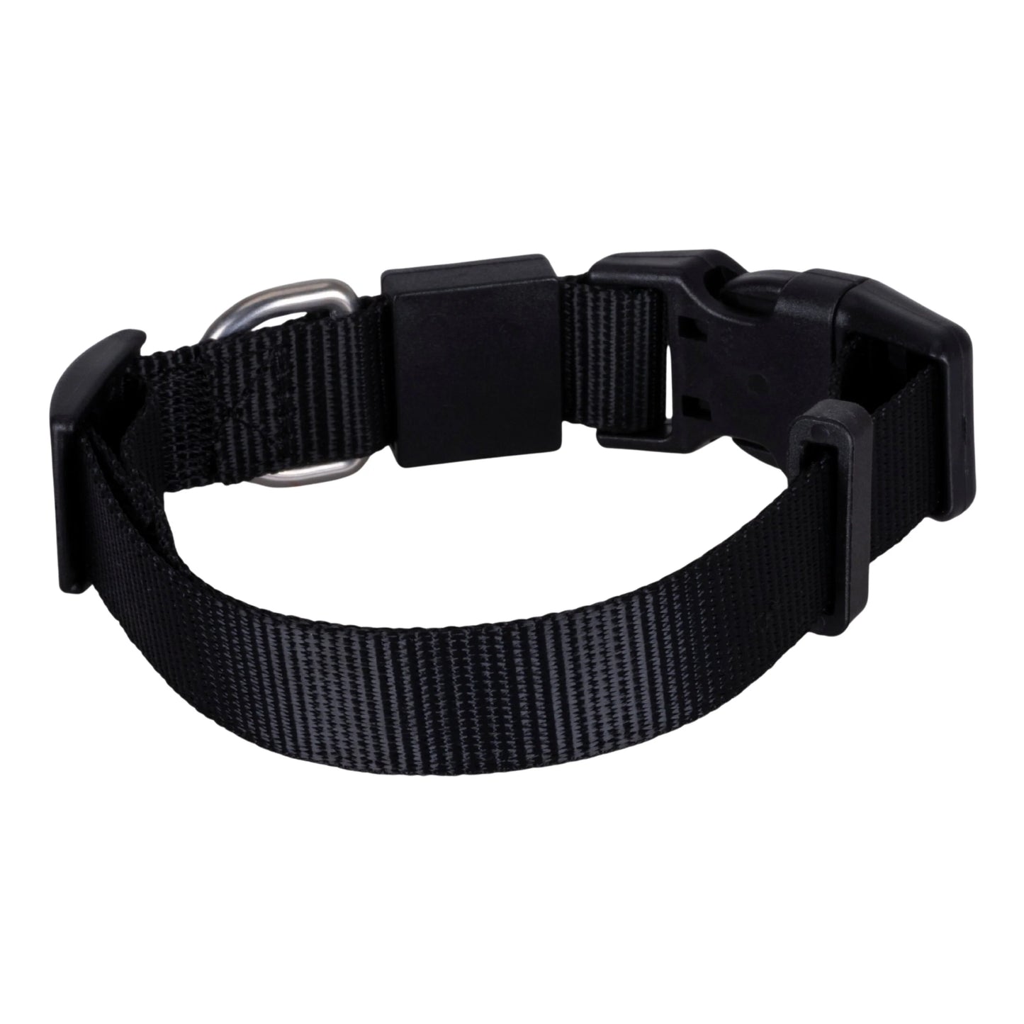 Solid Color Dog & Cat Collar