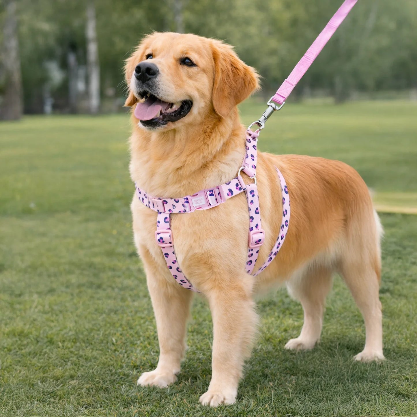 Patterned Recycled H Type Harness